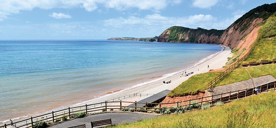 Sidmouth & The Donkey Sanctuary